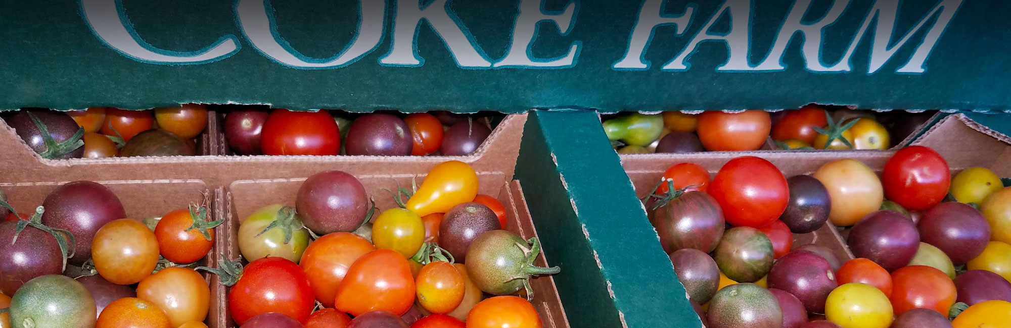Organic Tomatoes - Coke Farm - San Juan Bautista, California