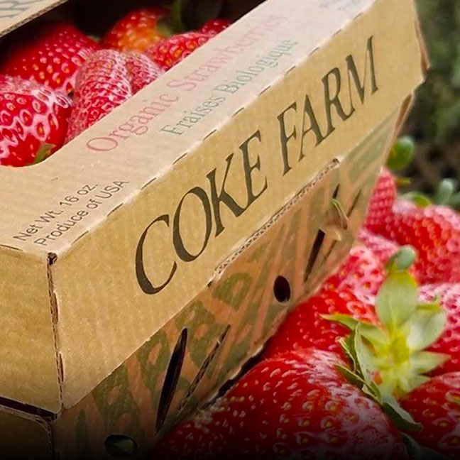 Organic Strawberries- Coke Farm - San Juan Bautista, California